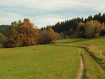 pašnik pri kmetiji Kuess